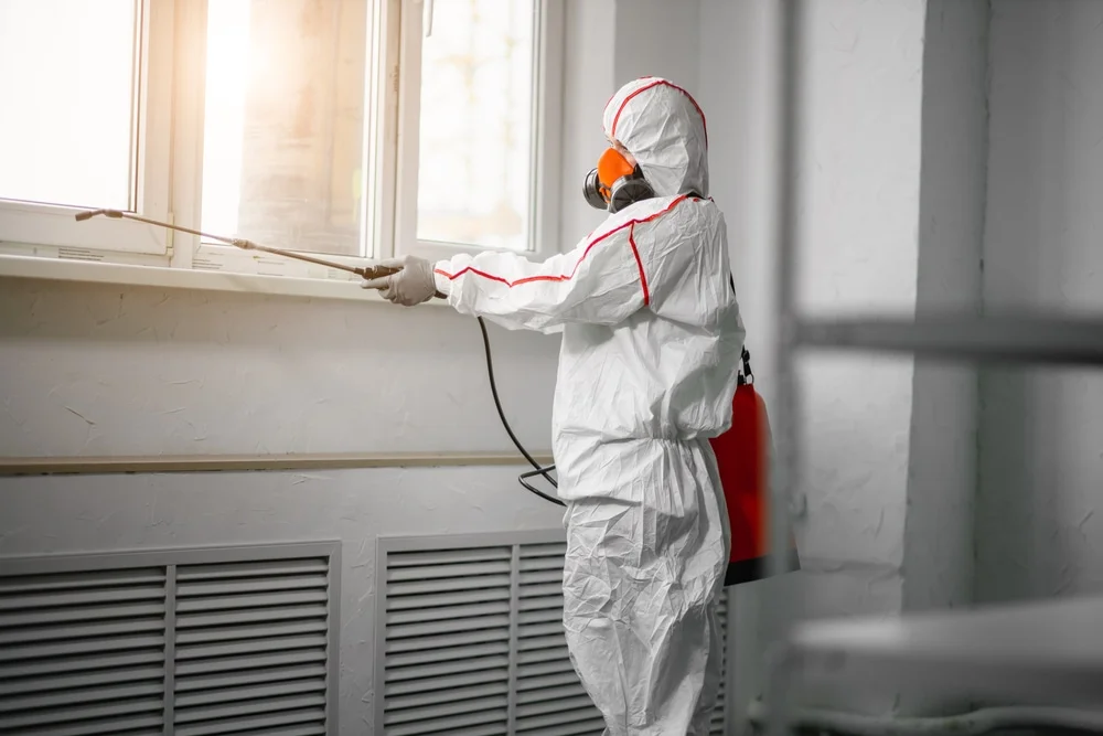 Professional mold remediation services in Baldwin, WI